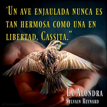 Ep 37: Cap-26 #LaAlondra: “Un ave enjaulada nunca es tan hermosa como una en libertad.”